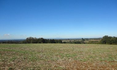 Campo con Casa 150 Ha Aprox. A 11 Km. Osorno   $ 2.247.000.000.