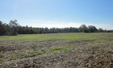 Campo con Casa 150 Ha Aprox. A 11 Km. Osorno   $ 2.247.000.000.