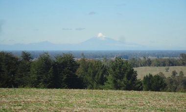 Campo con Casa 150 Ha Aprox. A 11 Km. Osorno   $ 2.247.000.000.
