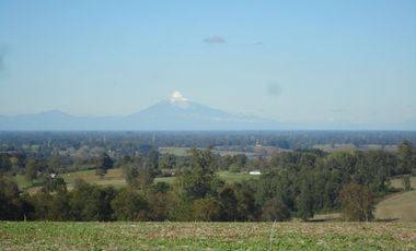 Campo con Casa 150 Ha Aprox. A 11 Km. Osorno   $ 2.247.000.000.