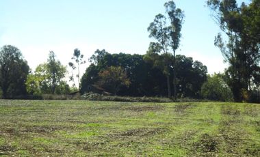 Campo con Casa 150 Ha Aprox. A 11 Km. Osorno   $ 2.247.000.000.