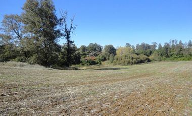 Campo con Casa 150 Ha Aprox. A 11 Km. Osorno   $ 2.247.000.000.