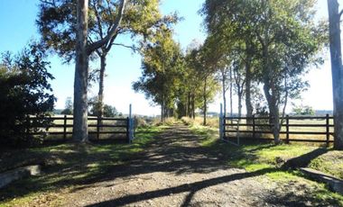 Campo con Casa 150 Ha Aprox. A 11 Km. Osorno   $ 2.247.000.000.