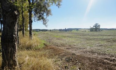 Campo con Casa 150 Ha Aprox. A 11 Km. Osorno   $ 2.247.000.000.