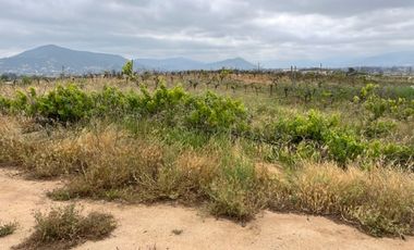 Venta Parcela 5000m2, Casablanca