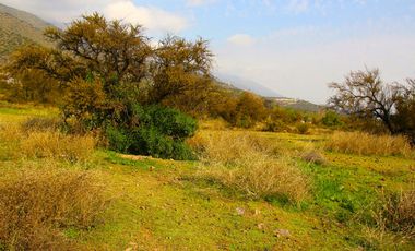 VENDE TERRENO EN CARPAY, LA REINA ALTA, 10.400 M2, EXCELENTE VISTA Y TRANQUILIDAD