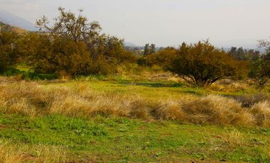 VENDE TERRENO EN CARPAY, LA REINA ALTA, 10.400 M2, EXCELENTE VISTA Y TRANQUILIDAD