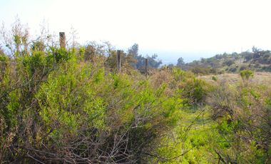 VENDE TERRENO EN CARPAY, LA REINA ALTA, 10.400 M2, EXCELENTE VISTA Y TRANQUILIDAD