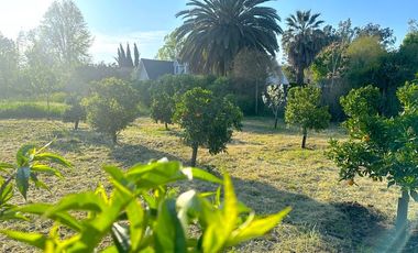 Camino El Algarrobo