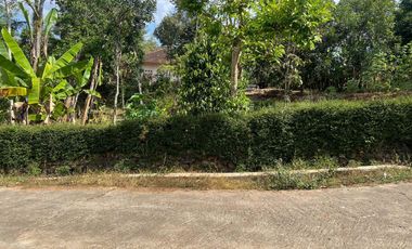 Pekarangan Murah 400 Juta 2200m² Mojogedang Karanganyar