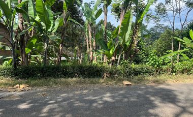 Pekarangan Murah 400 Juta 2200m² Mojogedang Karanganyar