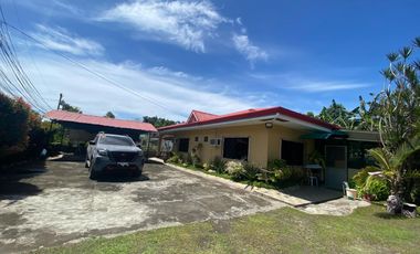 House and Lot for Sale in Kalye Pitong Gatang (road to Northville Subd.,) Boloc-boloc, Sibulan, Neg. Or.