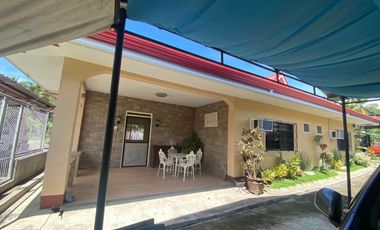 House and Lot for Sale in Kalye Pitong Gatang (road to Northville Subd.,) Boloc-boloc, Sibulan, Neg. Or.