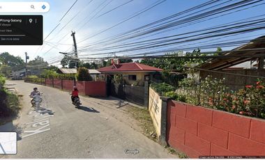House and Lot for Sale in Kalye Pitong Gatang (road to Northville Subd.,) Boloc-boloc, Sibulan, Neg. Or.