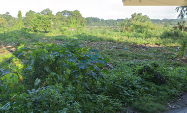 5,720 sqm Vacant Lot for Sale in Tumana Sta. Maria, Bulacan