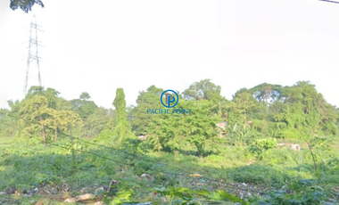 5,720 sqm Vacant Lot for Sale in Tumana Sta. Maria, Bulacan