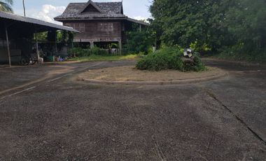 ขายบ้าน ใกล้แยกบ้านเกาะ บ้านเดี่ยว 2 ชั้น บนพื้นที่กว่า 3 ไร่