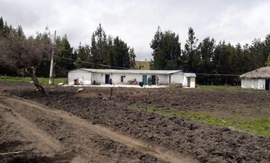 HACIENDA AGRICOLA GANADERA 700 Ha, DE OPORTUNIDAD