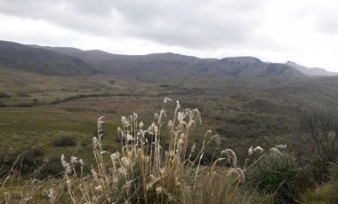 HACIENDA AGRICOLA GANADERA 700 Ha, DE OPORTUNIDAD
