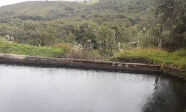 HACIENDA AGRICOLA GANADERA 700 Ha, DE OPORTUNIDAD