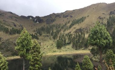 HACIENDA AGRICOLA GANADERA 700 Ha, DE OPORTUNIDAD
