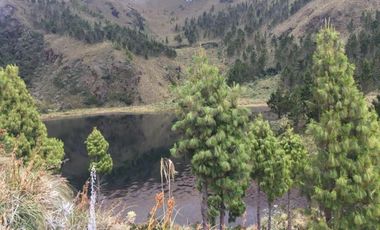 HACIENDA AGRICOLA GANADERA 700 Ha, DE OPORTUNIDAD