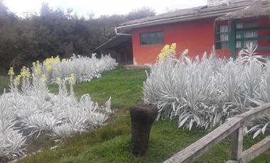 HACIENDA AGRICOLA GANADERA 700 Ha, DE OPORTUNIDAD