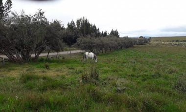 HACIENDA AGRICOLA GANADERA 700 Ha, DE OPORTUNIDAD