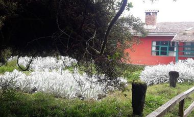 HACIENDA AGRICOLA GANADERA 700 Ha, DE OPORTUNIDAD