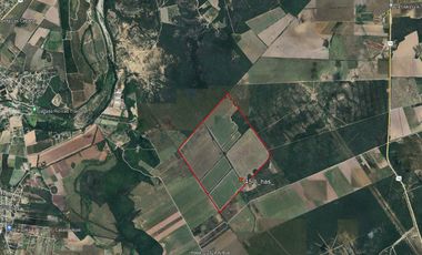145 hectáreas venta, san juan, la nutria, Cadereyta, Pemex, agricultura, siembra, cosecha.