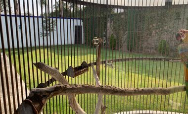 RENTA CASA AMPLIA EN 2 NIVELES, 5 RECAMARAS JARDIN, ALBERCA, LA CARCAÑA CERCA DEL C.C. EXPLANADA, SAN PEDRO CHOLULA