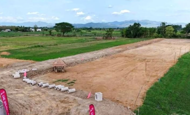Land for sale, San Kamphaeng, starting at 120 sq.w., near San Kamphaeng Hospital (ID:239LS)