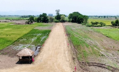 Land for sale, San Kamphaeng, starting at 120 sq.w., near San Kamphaeng Hospital (ID:239LS)
