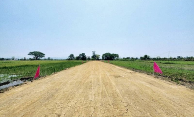 Land for sale, San Kamphaeng, starting at 120 sq.w., near San Kamphaeng Hospital (ID:239LS)