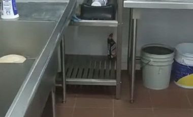 Local comercial en renta, con inmobiliario para restaurante, todo en acero inoxidable