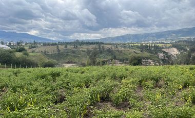 OPORTUNIDAD - TERRENO EN VENTA - SECTOR SAN MIGUEL EL QUINCHE