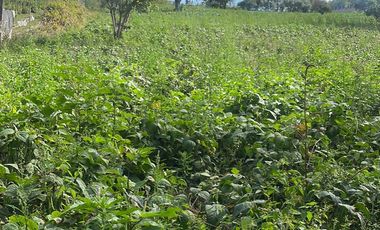 OPORTUNIDAD - TERRENO EN VENTA - SECTOR SAN MIGUEL EL QUINCHE