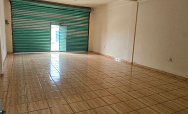 Propiedad Mixta en Venta, Terreno, Locales y Departamento, Amecameca