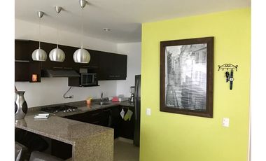 Departamento Duplex Amoblado Ciudad Del Mar