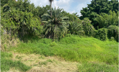 TERRENO EN RENTA  EN BLVD. BENITO JUAREZ, COL. CENTRO CUERNAVACA
