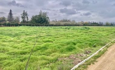 Venta Terreno 5000m2, Talagante