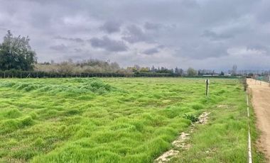 Venta Terreno 5000m2, Talagante