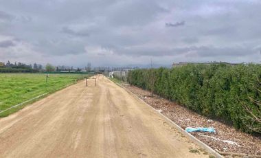 Venta Terreno 5000m2, Talagante