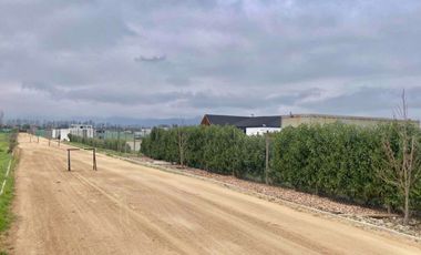 Venta Terreno 5000m2, Talagante
