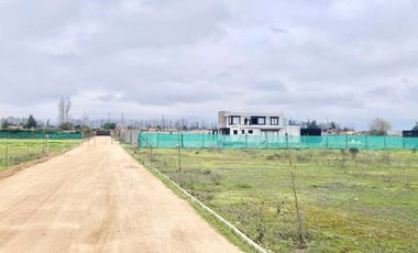 Venta Terreno 5000m2, Talagante