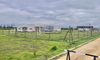 Venta Terreno 5000m2, Talagante