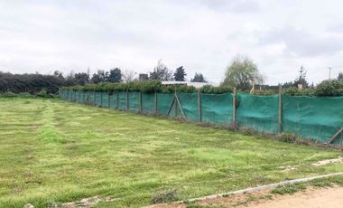 Venta Terreno 5000m2, Talagante