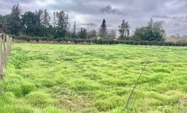 Venta Terreno 5000m2, Talagante