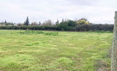 Venta Terreno 5000m2, Talagante
