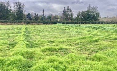 Venta Terreno 5000m2, Talagante